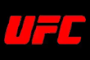 UFC Ultimate Fighting Championship